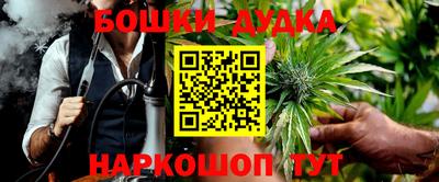 шишки Будённовск