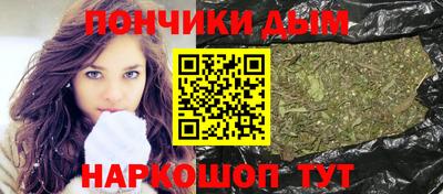 шишки Будённовск