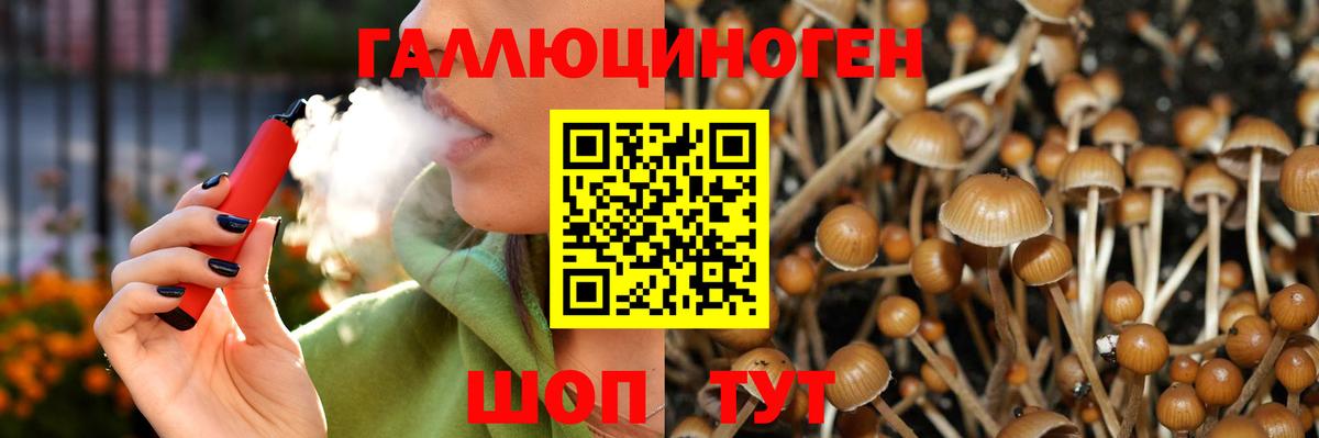 Псилоцибиновые грибы ЛСД  Вход с VPN  Галлюциногенные грибы Magic Shrooms  где найти   Заречный 